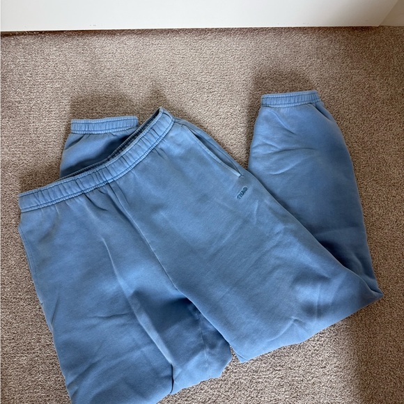 Aritzia Pants - TNA Blue Sweatpants